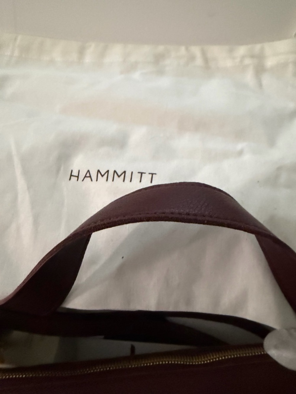 Hammitt Chestnut Brown Leather Crossbody with Gold Discs - Picture 5 of 5